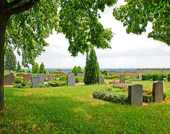 cimetière tombes 